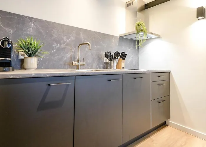 Luxury Center * Ντελφτ