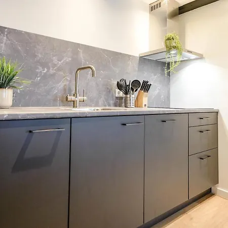 Luxury Center * Delft